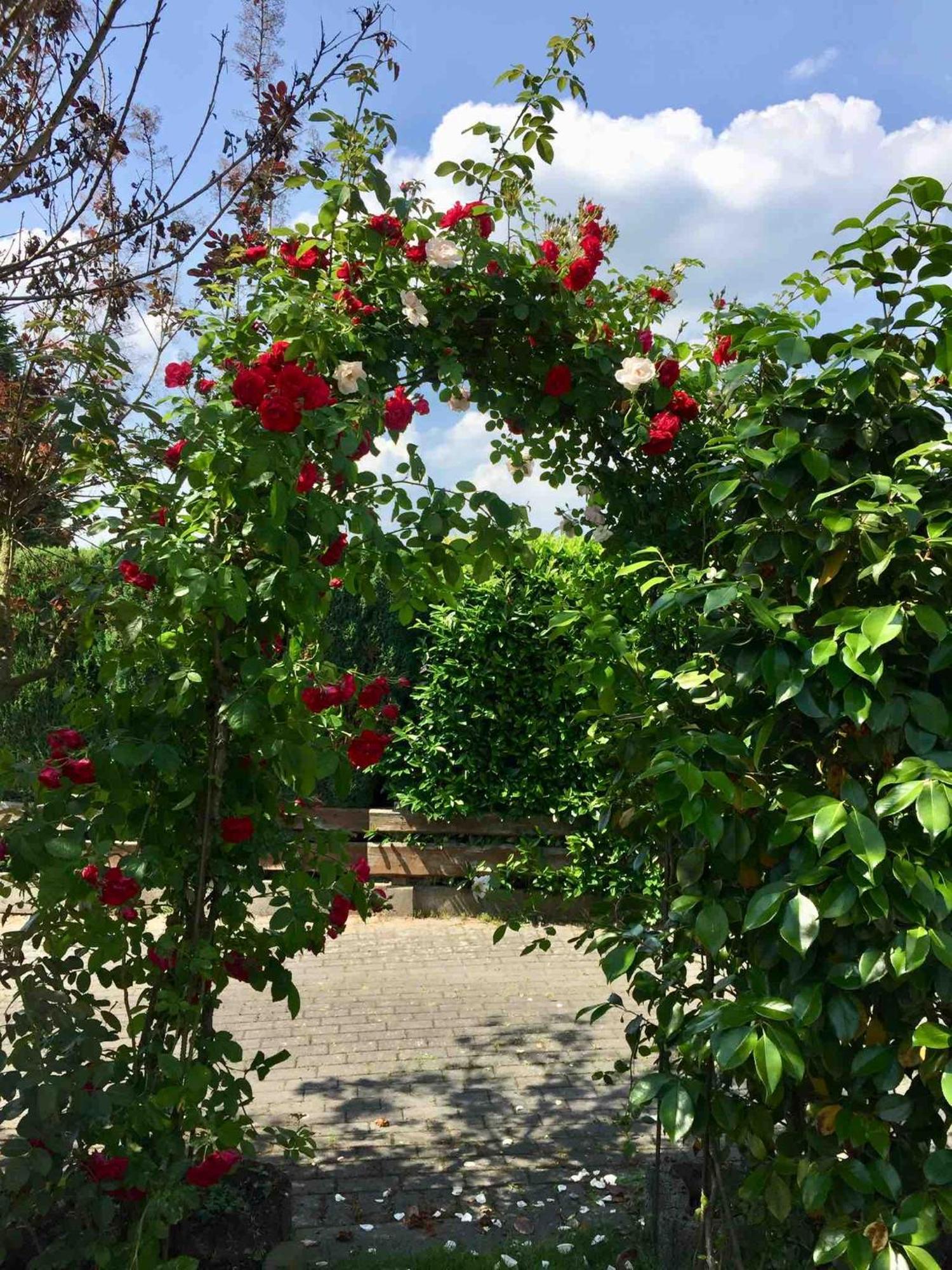 Ferienhaus Windmuehlenweg Mit Garten Apartment Spenge Exterior foto